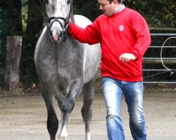 horse Corliss (Westphalian, 2010, from Cornado II)