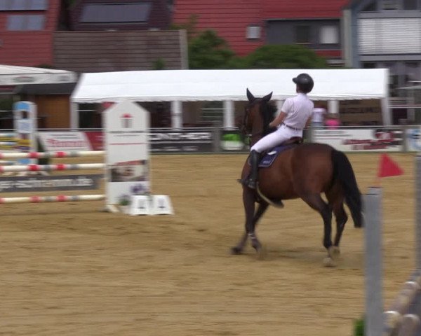 Reitturnier Dingelstädt 2022