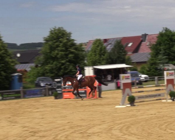 Reitturnier Dingelstädt 2022