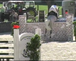 jumper Le Capule E (Holsteiner, 2002, from Loving Dancer)