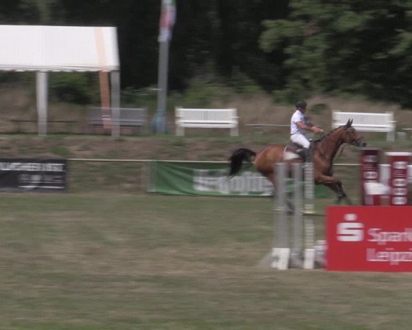 Reitturnier Reitstadion Löbnitz 2022