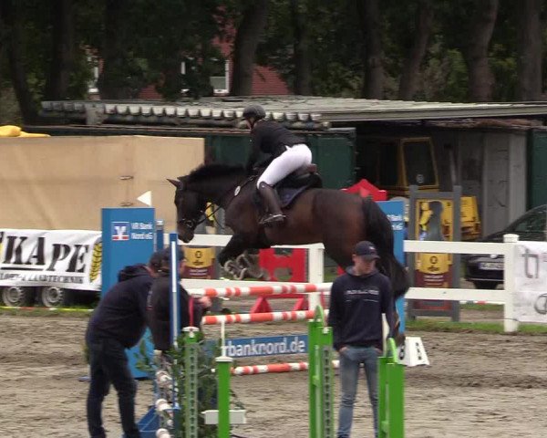 Springturnier Mildstedt 2021