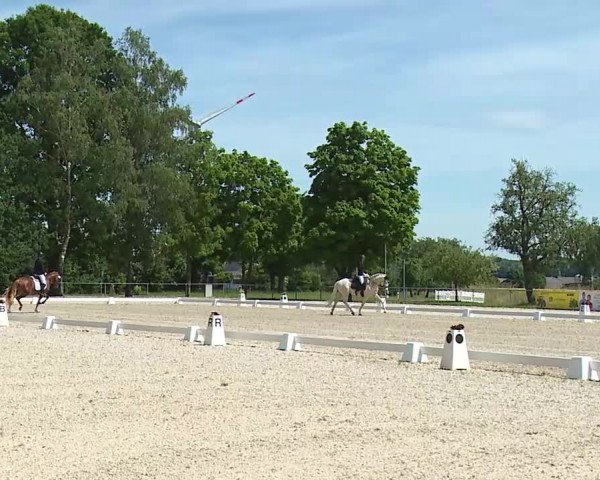 Reitturnier Rot am See- Musdorf 2022