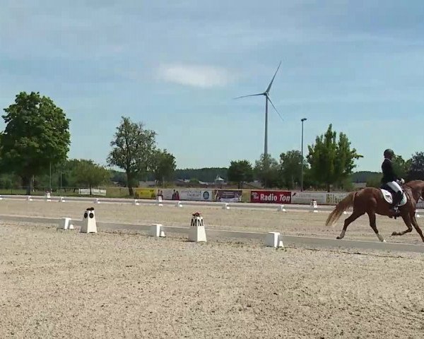 Reitturnier Rot am See- Musdorf 2022