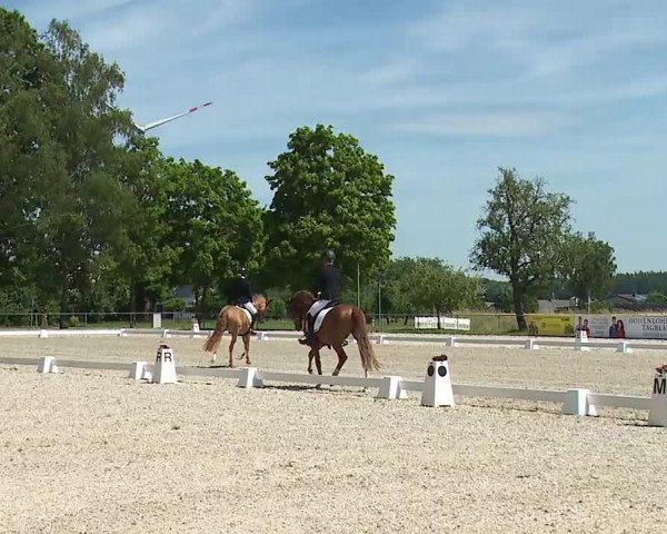 Reitturnier Rot am See- Musdorf 2022