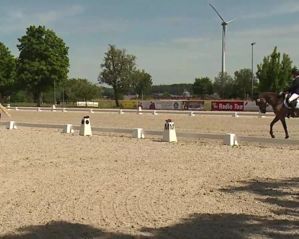 Reitturnier Rot am See- Musdorf 2022