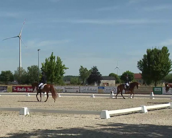 Reitturnier Rot am See- Musdorf 2022