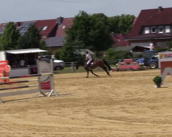 Reitturnier Dingelstädt 2022