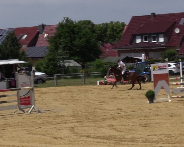 Reitturnier Dingelstädt 2022