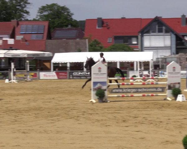 Reitturnier Dingelstädt 2022
