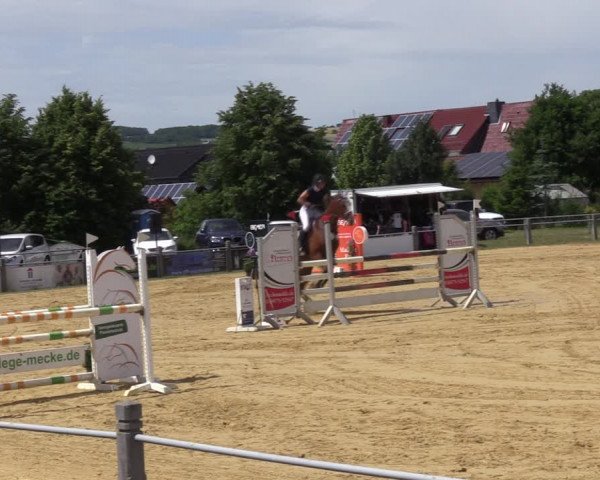 Reitturnier Dingelstädt 2022