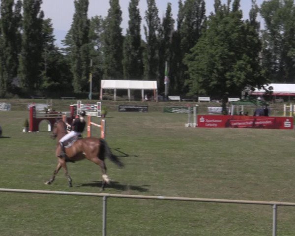 Reitturnier Reitstadion Löbnitz 2022