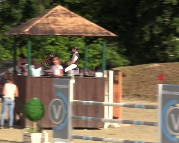 Reitturnier Fröndenberg 2022