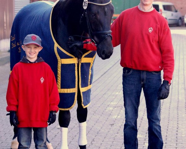 dressage horse Sir Satelite (Hanoverian, 2010, from Sarkozy 3)