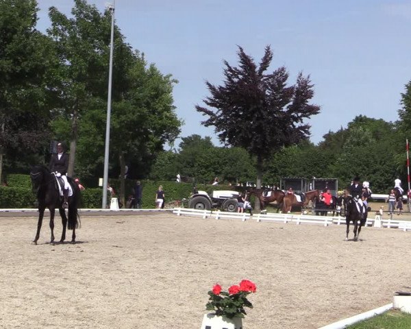 Reitturnier Fröndenberg 2022