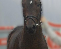 Dressurpferd Rubinero K (Oldenburger, 2010, von Royal Doruto OLD)
