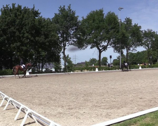 Reitturnier Fröndenberg 2022