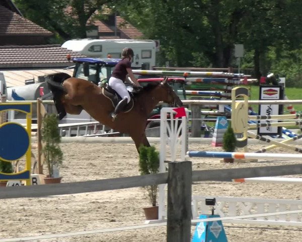 Reitturnier Sand-Schönbühl 2022