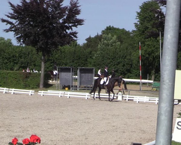 Reitturnier Fröndenberg 2022