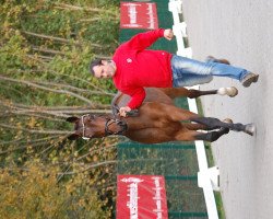 Springpferd Cha Bu Duo V (Westfale, 2010, von Chacco-Blue)