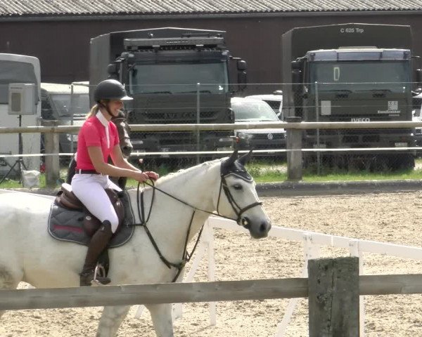 Reitturnier Sand-Schönbühl 2022