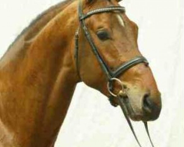 stallion Lenardo (Westphalian, 1999, from Lupicor)