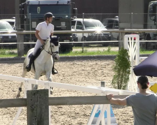 Reitturnier Sand-Schönbühl 2022