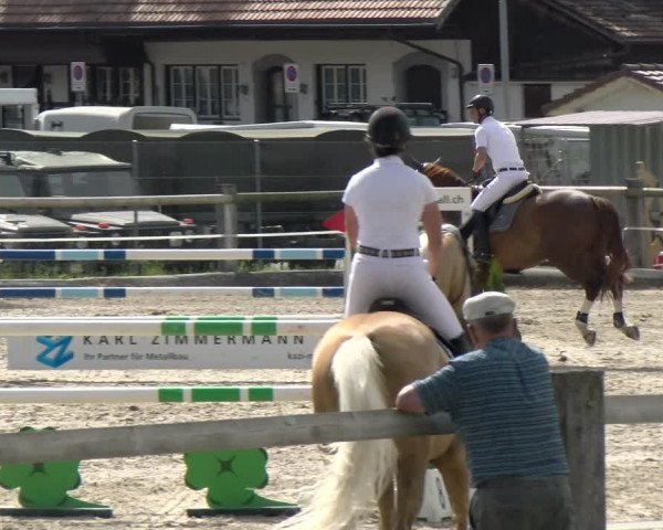 Reitturnier Sand-Schönbühl 2022