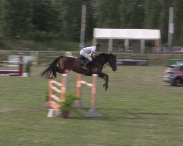 Reitturnier Reitstadion Löbnitz 2022