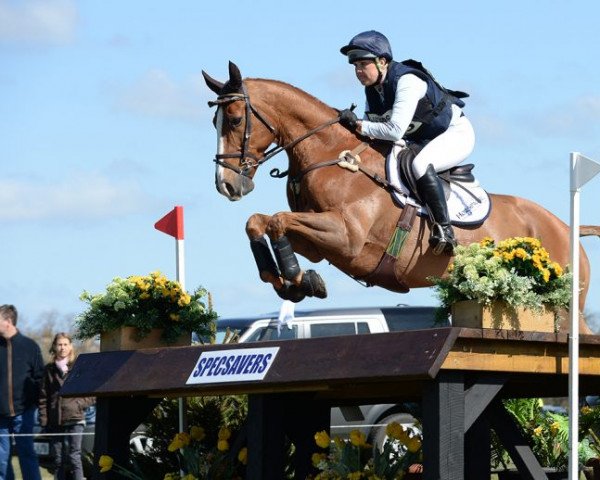 Pferd Henton Attorney General (Neuseeländisches Warmblut, 2000, von Anamour)