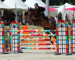 broodmare Raisa (Selle Français, 2005)