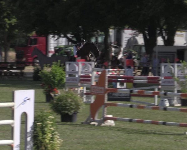 Reitturnier Reitstadion Löbnitz 2022