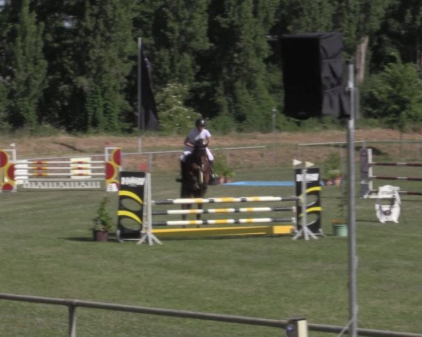 Reitturnier Reitstadion Löbnitz 2022