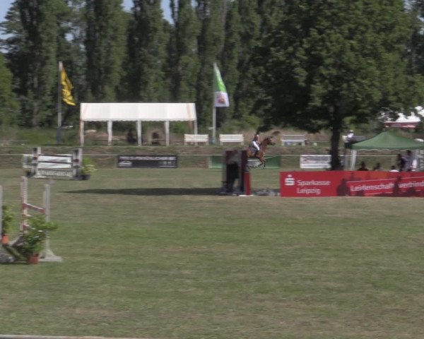 Reitturnier Reitstadion Löbnitz 2022