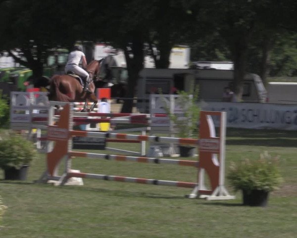 Reitturnier Reitstadion Löbnitz 2022
