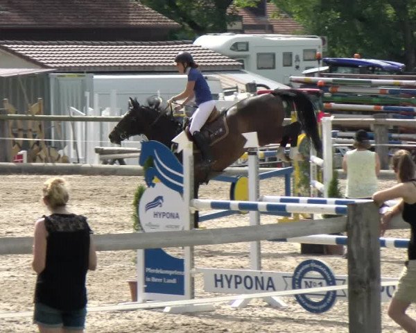 Reitturnier Sand-Schönbühl 2022