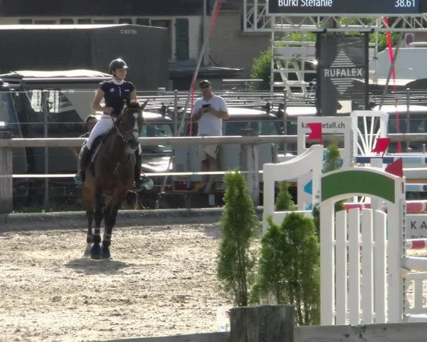 Reitturnier Sand-Schönbühl 2022