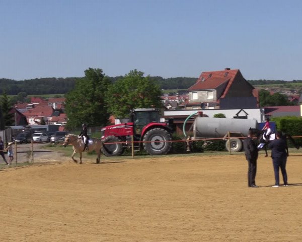 Reitturnier Dingelstädt 2022