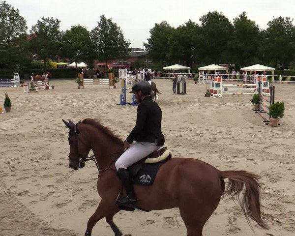 Reitturnier Lemwerder 2022