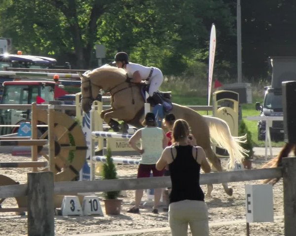 Reitturnier Sand-Schönbühl 2022
