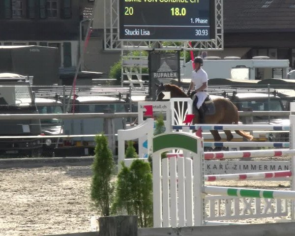 Reitturnier Sand-Schönbühl 2022