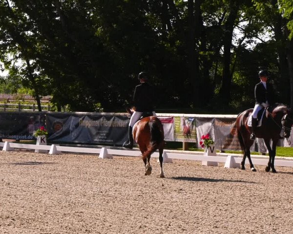 Reitturnier Ruhlsdorf 2022