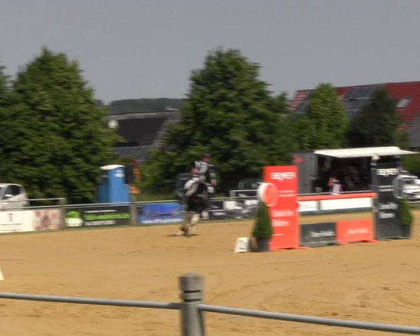Reitturnier Dingelstädt 2022