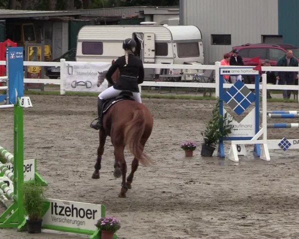 Springturnier Mildstedt 2021
