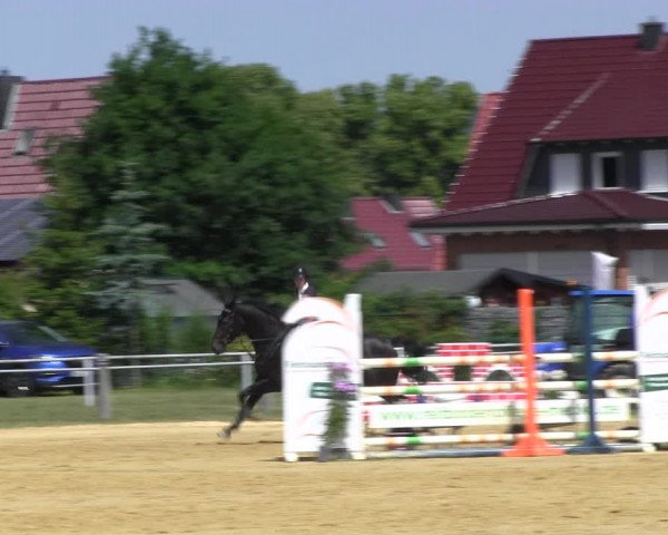 Reitturnier Dingelstädt 2022