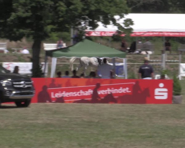Reitturnier Reitstadion Löbnitz 2022