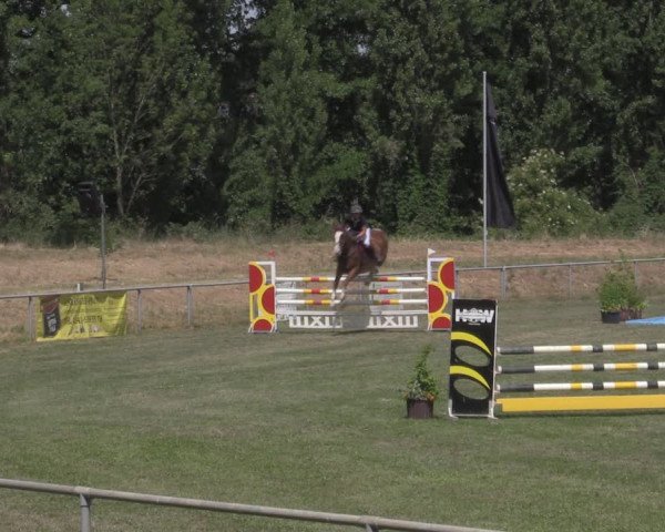 Reitturnier Reitstadion Löbnitz 2022