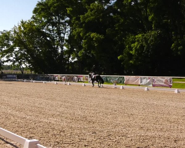 Reitturnier Ruhlsdorf 2022