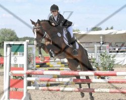 dressage horse Loki Z (Westphalian, 2006, from Lacordos)