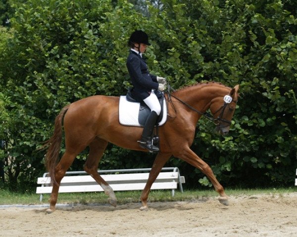 broodmare Nancy (Rhinelander, 1998, from Newcastle)